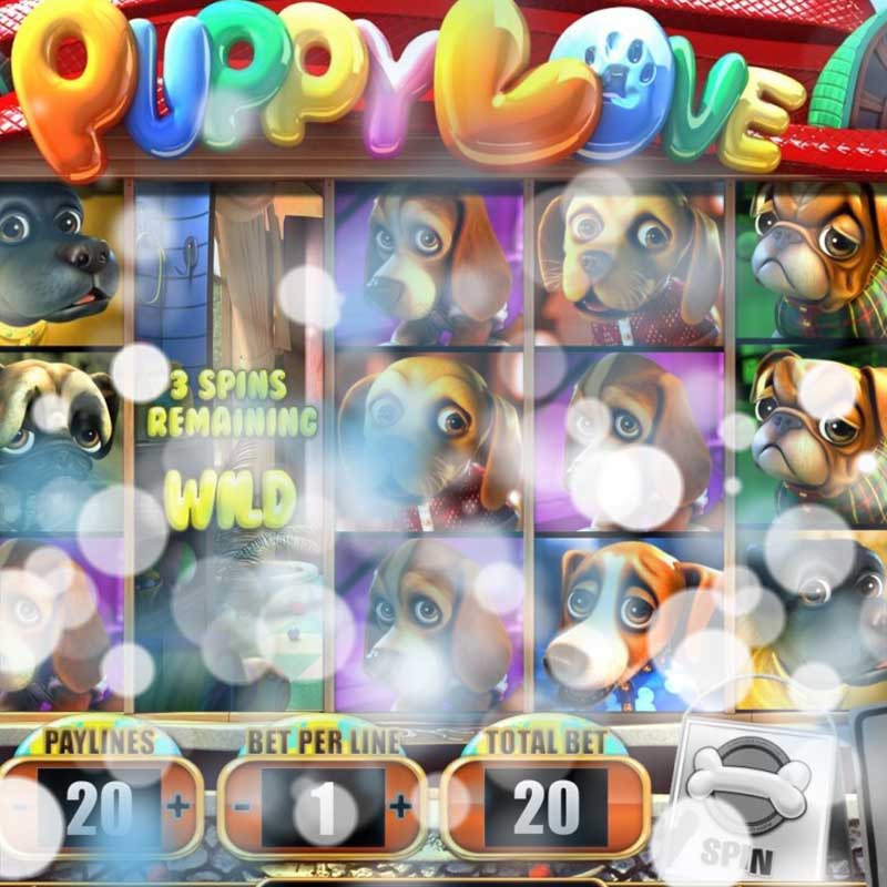 puppy love slot game